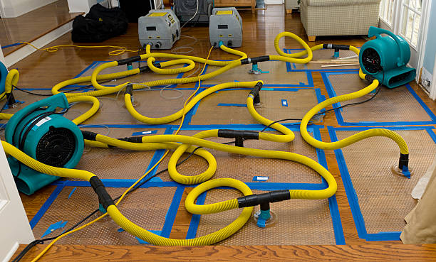 Professional Water Extraction technician working in New Lebanon, OH